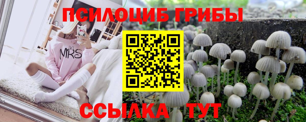 Псилоцибиновые грибы мухоморы Оренбург