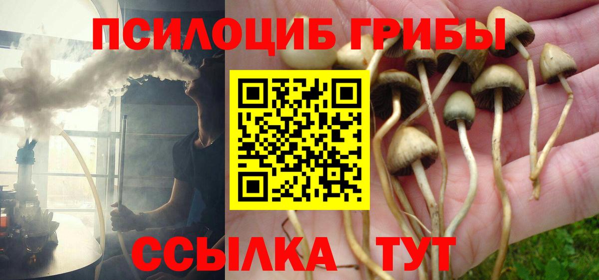 Оренбург  Псилоцибиновые грибы Cubensis  наркота  Вход с VPN 